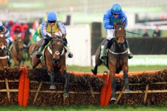 Hurricane Fly PML00148440.jpg