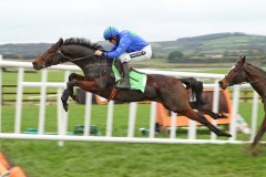 Hurricane Fly PMOO0608.jpg