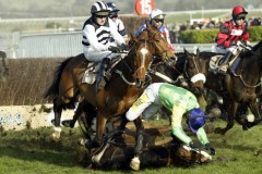 Kauto Star PML00010320.jpg