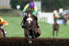 Kauto Star PMLOO139991A.jpg