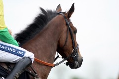 Kauto Star PML00152798.jpg