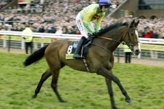 Kauto Star PML0032713.jpg