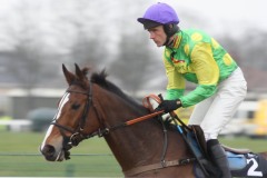 Kauto Star PML0065406.JPG