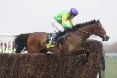 Kauto Star PML0065410.JPG