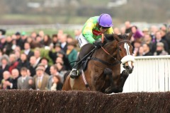 Kauto Star PML0086939.JPG