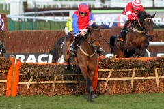 Quevega 110314PML0413.jpg