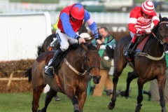 Quevega 110314PML0420.jpg