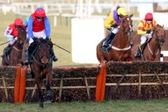 Quevega PML00112585.JPG