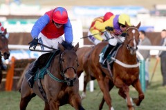 Quevega PML00112600.JPG