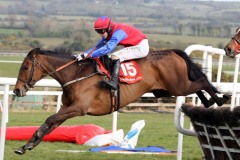 Quevega PML 00117015.JPG