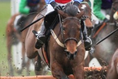 Quevega PML00119414.jpg