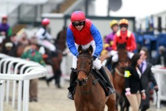 Quevega PML00180529.jpg