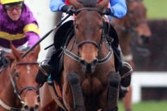 Quevega PML00180549.jpg