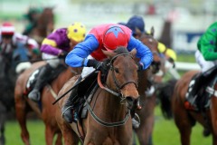 Quevega PML00180562.jpg