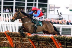 Quevega PML0085605.jpg