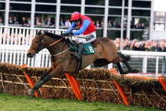 Quevega PML0085606.jpg