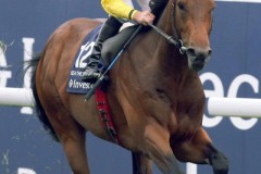 Sea The Stars-PML 0093271.JPG