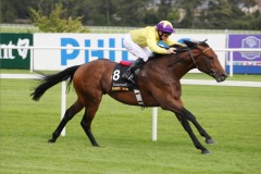 Sea The Stars-PML 0099575.JPG