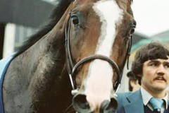 Shergar-81B 413.jpg
