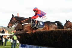 Sprinter Sacre-PML00122972.jpg