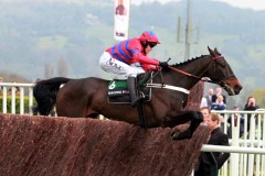 Sprinter Sacre-PML00180353.jpg