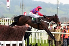Sprinter Sacre-PML00180354.jpg