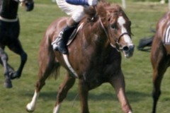 The Minstrel 77A 191.jpg