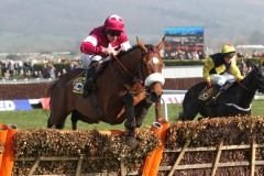 Tiger Roll-140314PML0231.jpg