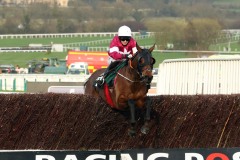 Tiger Roll-140317PML0606.jpg