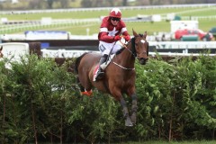 Tiger Roll-140318PML0673.jpg