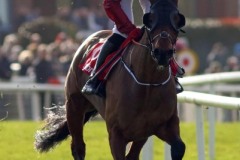 Tiger Roll-170219PML0309.jpg