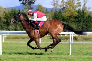 5 May 2021;   Mighty Blue, Dylan Browne McMonagle up, scoring a facile success in The Irish Stallion Farms European Breeders Fund Vintage Tipple Stakes at Gowran Park.© Peter Mooney, 59 Upper George's Street, Dun Laoghaire, Co. Dublin, A96 H2R3, Ireland  Tel: 00 353 (0)86 2589298