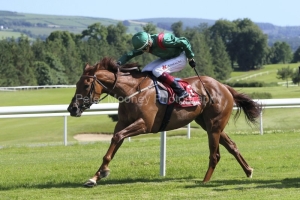 Zawara-130621PML0662