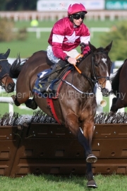 Ballyfad 010226PML1366.jpg