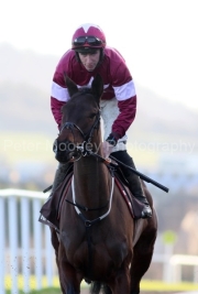 Brighterdaysahead 010226PML1446.jpg