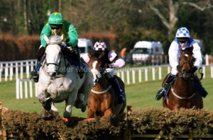 Ebaziyan PML 0084735.JPG