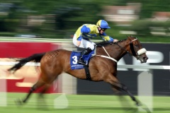 Invincible Ash-PML 00126996.JPG