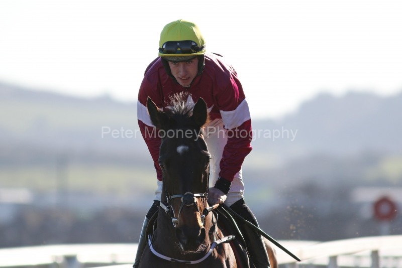 2 February 2019;  APPLE'S JADE and Jack Kennedy prior to the staging of The BHP Insurance Champion Hurdle at Leopardstown.      © Peter Mooney, 59 Upper George's Street, Dun Laoghaire, Co. Dublin, Ireland.    Tel:  00 353 (0)86 2589298