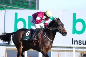 2 February 2019;  APPLE'S JADE and Jack Kennedy are effortless winners of The BHP Insurance Champion Hurdle at Leopardstown.      © Peter Mooney, 59 Upper George's Street, Dun Laoghaire, Co. Dublin, Ireland.    Tel:  00 353 (0)86 2589298