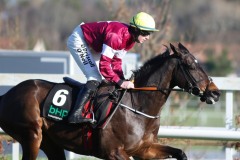 2 February 2019;  APPLE'S JADE and Jack Kennedy during the staging of The BHP Insurance Champion Hurdle at Leopardstown.      © Peter Mooney, 59 Upper George's Street, Dun Laoghaire, Co. Dublin, Ireland.    Tel:  00 353 (0)86 2589298