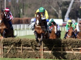 Shakervilz PML 0062573.JPG