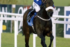 Almass PML 0080858.JPG