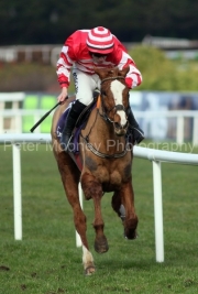 Barnahash Primrose 030325PML1547.jpg