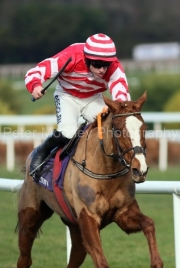 Barnahash Primrose 030325PML1554.jpg