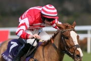 Barnahash Primrose 030325PML1569.jpg