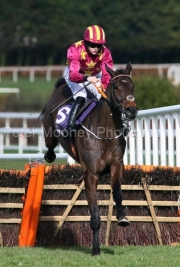 Koktail Divin 030325PML1416.jpg