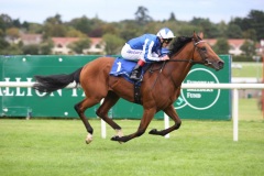 Akeed Mofeed PML 00163456