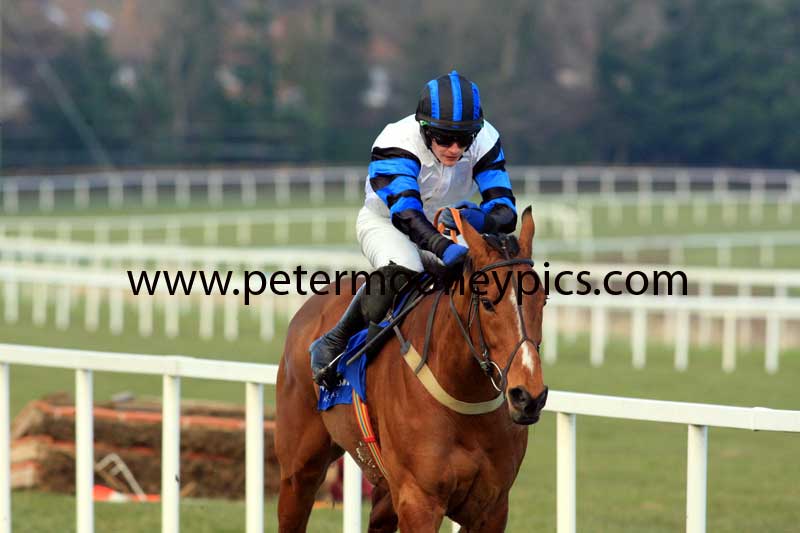 fosters-cross-pml-00118910