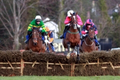 Pittoni-PML 00179975