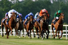 Lesson In Humility PML 0092878.JPG